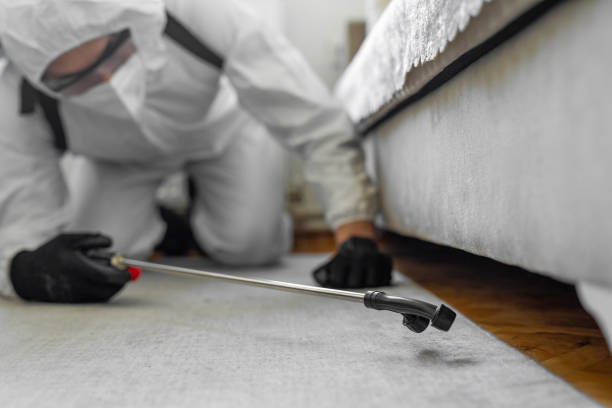 Professional Termite Control technician working in Central Gardens, TX